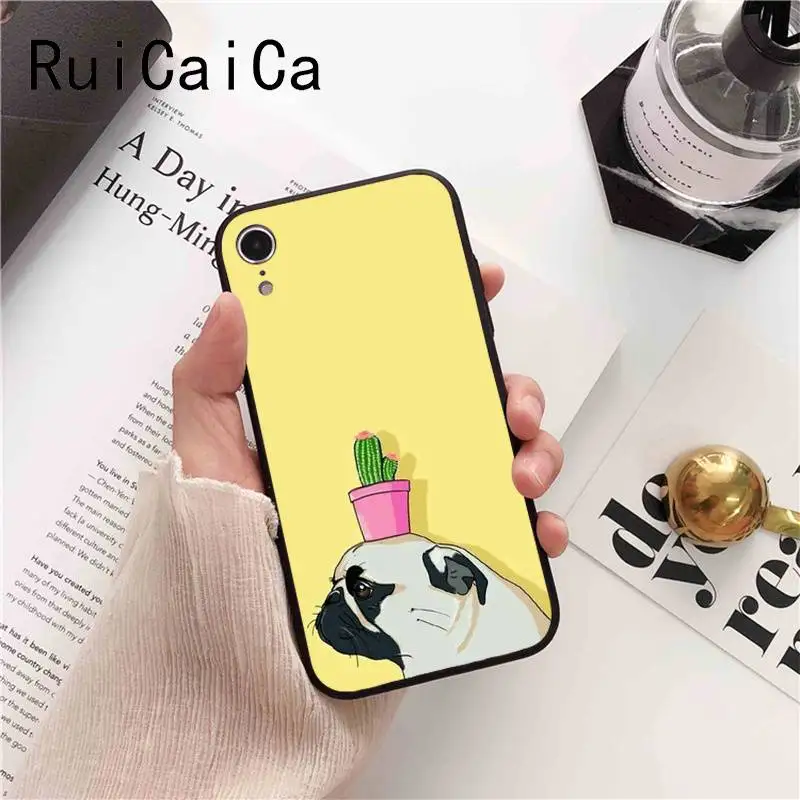 Animal Cute Pug Dog
