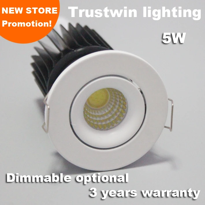 3 years warranty 110V 120V 220V 240V indoor outdoor ceiling dimming