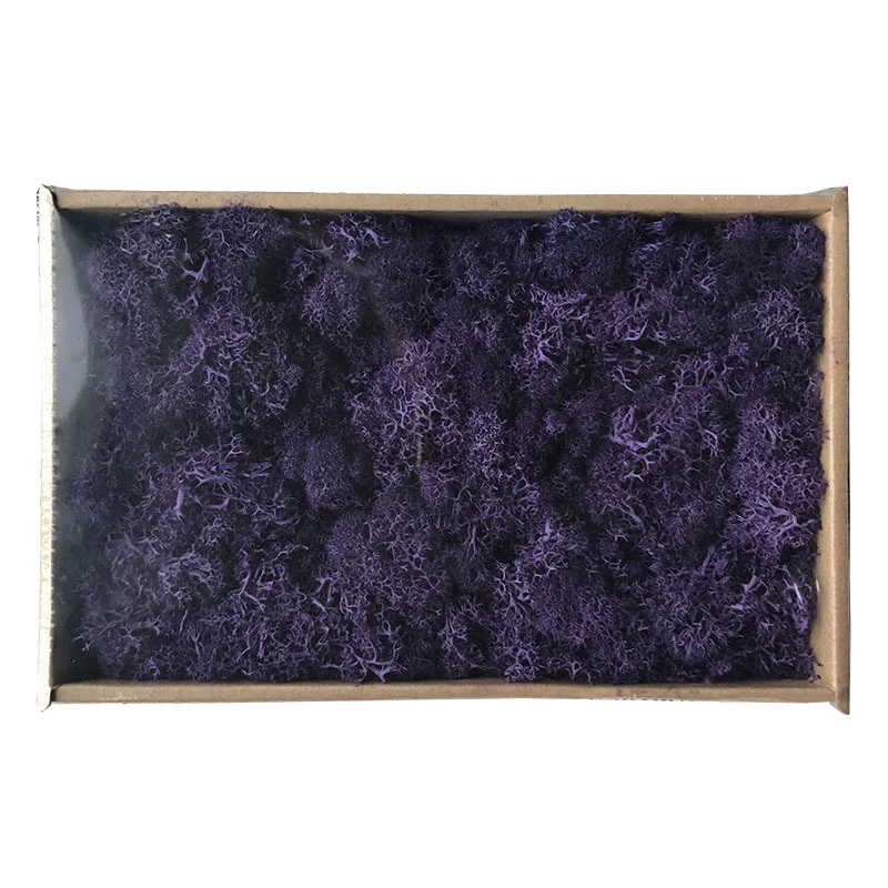 Подарки на день матери 200 г DIY украшения длительный срок сухой мох цветок для интерьера все виды оттенков - Цвет: 014