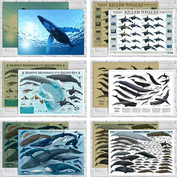 

Whale killer whales /kraft paper/Wall stickers/cafe bar poster/Retro Poster/decorative painting