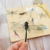 28pcs Insect Theme Dragonflies In Summer Style PVC Sticker Scrapbooking DIY Gift Packing Label Decoration Tag ► Photo 1/6