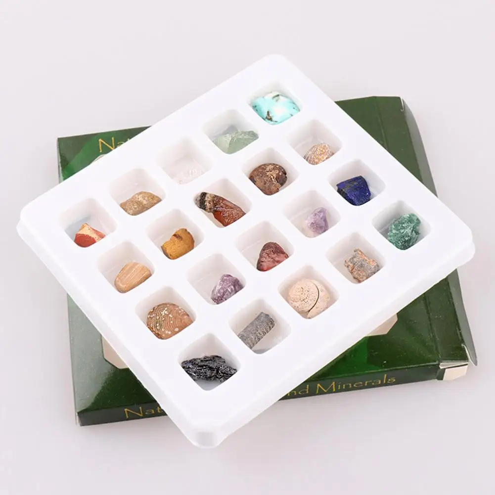 

20Pcs/Set Ore Fossil Mineral Ornament Gadget Set Natural Polished Stone Craft Gift