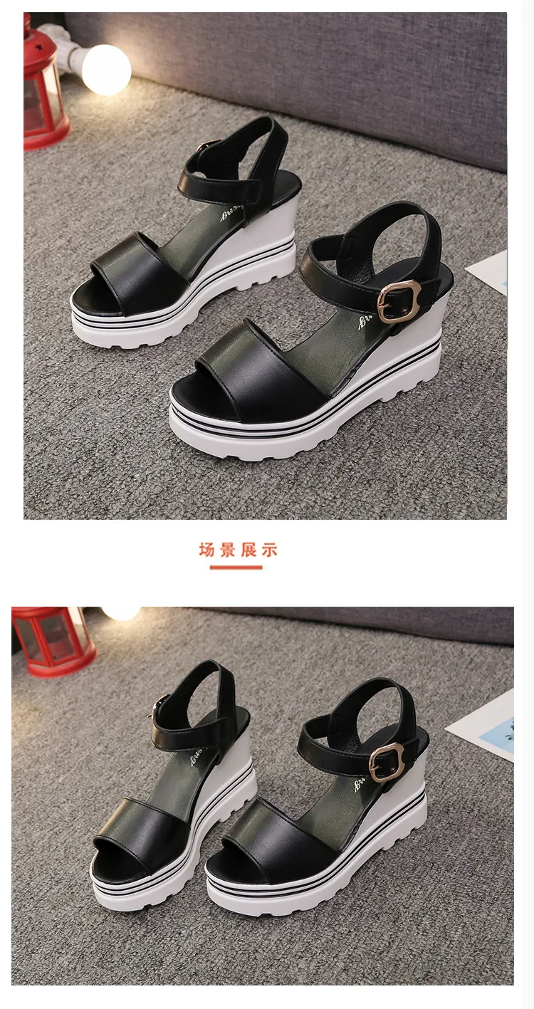 描述6