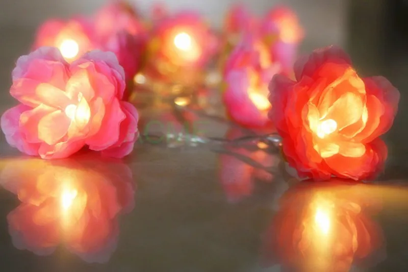 Silk Flower lights 10