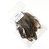 20PCS Natural Pheasant Feathe fly nymphs feather materials marking Salmon and Steelhead Flies Body Dry Fly Tying Material ► Photo 3/3