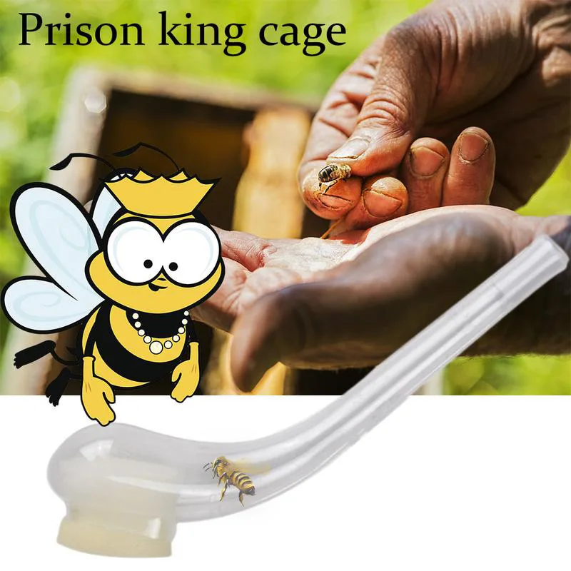 3PCS catcher plastic bees tools catching device catch king beekeeper apicultura equipment rearing system bee beekeeping apiculto