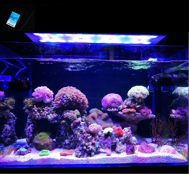 Bluetooth control LED light coral grow marine reef tank white blue