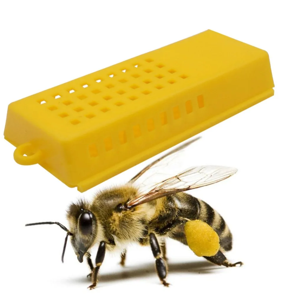 Buy HIGH QUALITY 70 pcs 80 * 35 * 15mm Beekeeping Bee