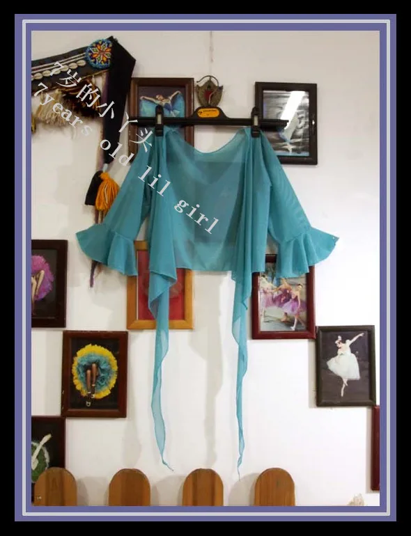

Transparent thin belly danc small flare Blouse Top CD61
