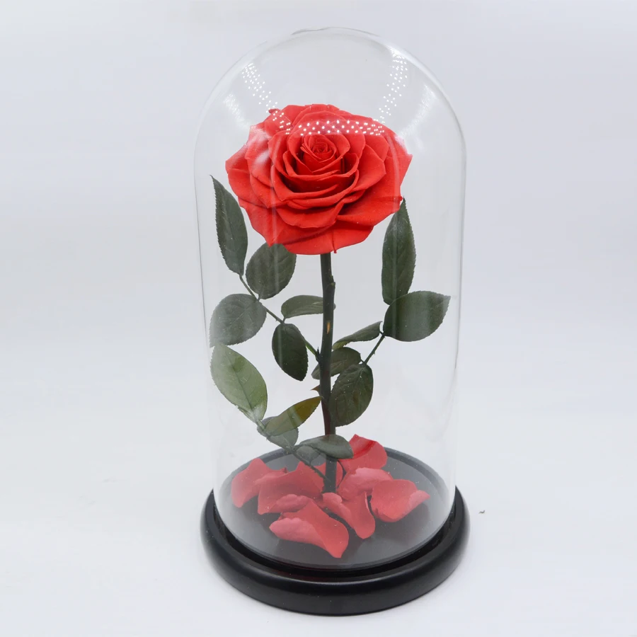 La rosa flower coupons manila