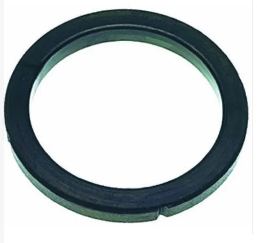 

Rancilio Silvia Group Head Gasket - Genuine OEM Part