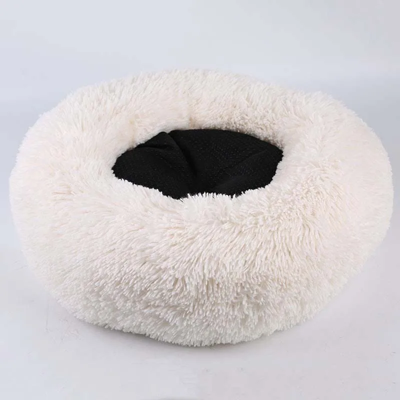 Bys00_White