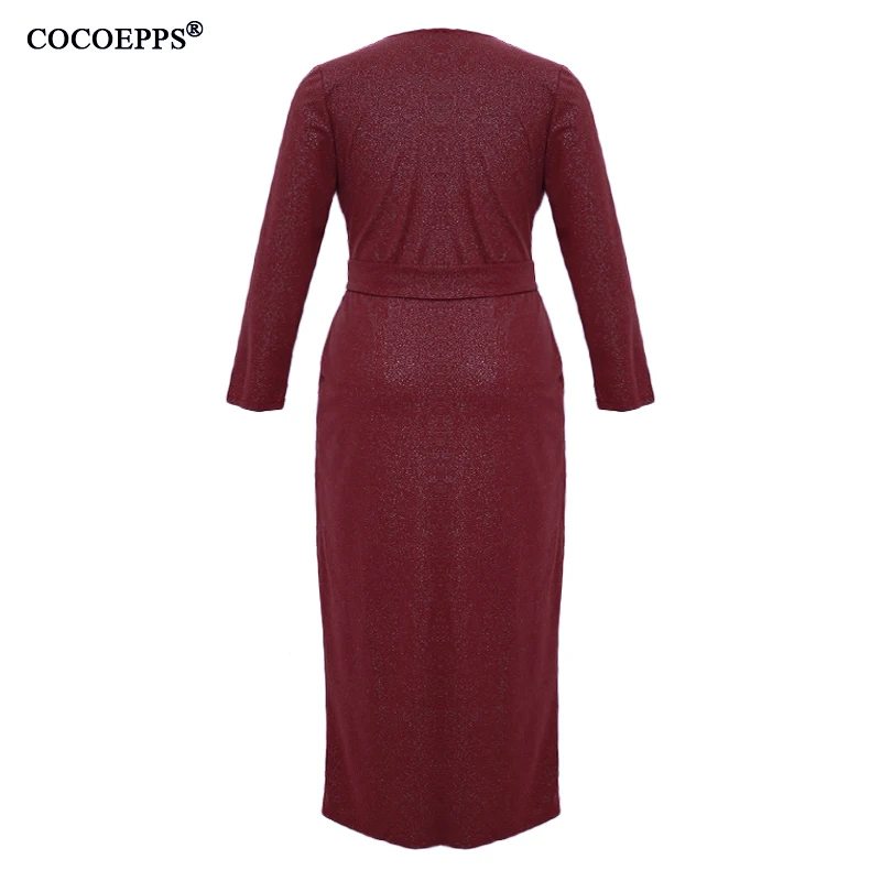 COCOEPPS6