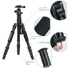 ZOMEI Q100 Q111 Q555 Q666 Q666C Camera Tripod Travel Portable Camera Tripod for Canon Nikon Sony DSLR Professional Camera Tripod ► Photo 3/6