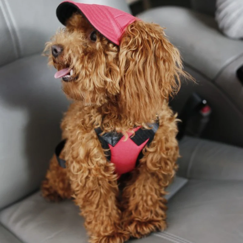 10 стилей летняя модная шапка для собак с ушными отверстиями бейсболка из грубой ткани для маленьких для питомцев на прогулке аксессуары для пеших прогулок Милая шапочка для домашних животных
