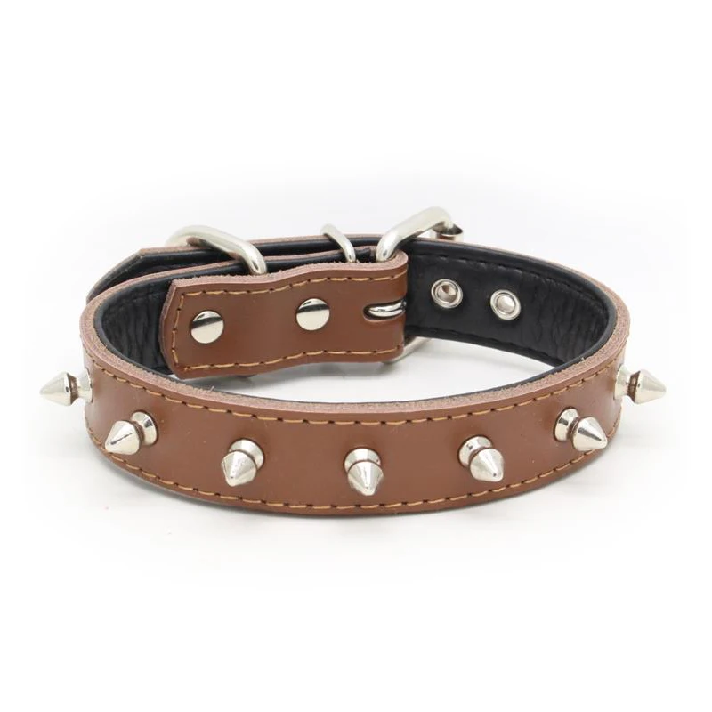 5 dog belt 