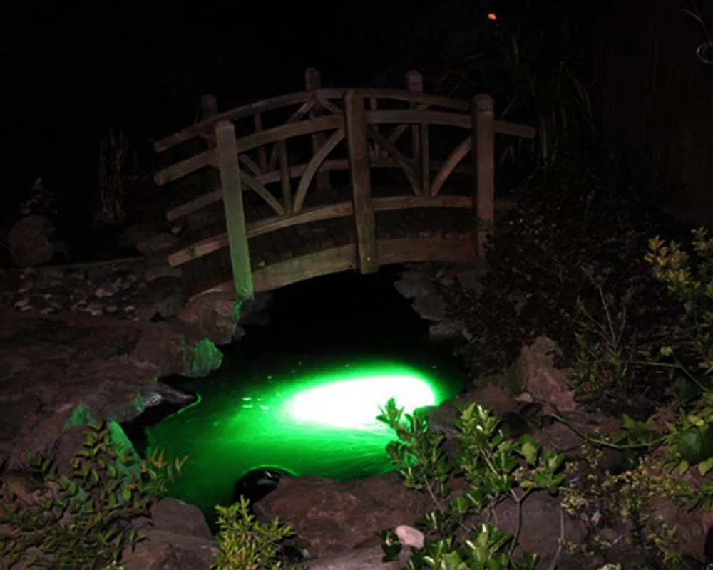 KoiPondLight