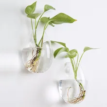 Набор из 2 настенных кашпо стеклянные растения террариумы ваза для цветов