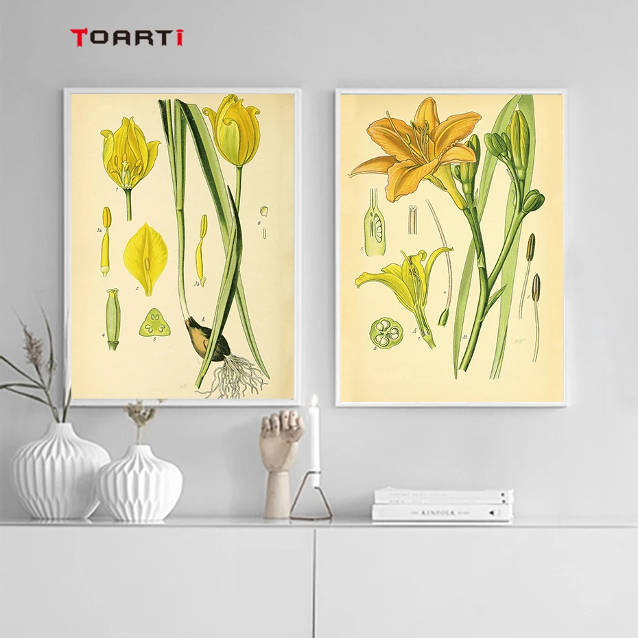 Modern Daffodil Canvas Painting Creative Plant Posters Prints Beautiful Wall Art Pictures For Living Room Home Decor Family Gift (5)