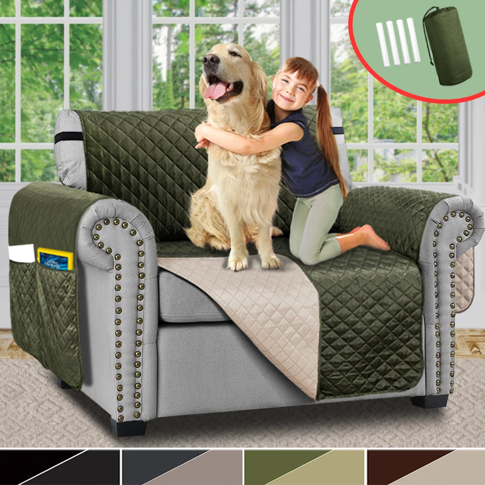 How To Keep Couch Protect Dog