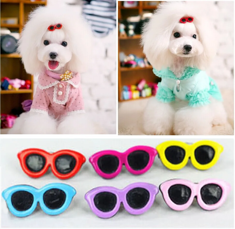 Pets Dog Puppy Cat Handsome Sunglasses Glasses Hai...