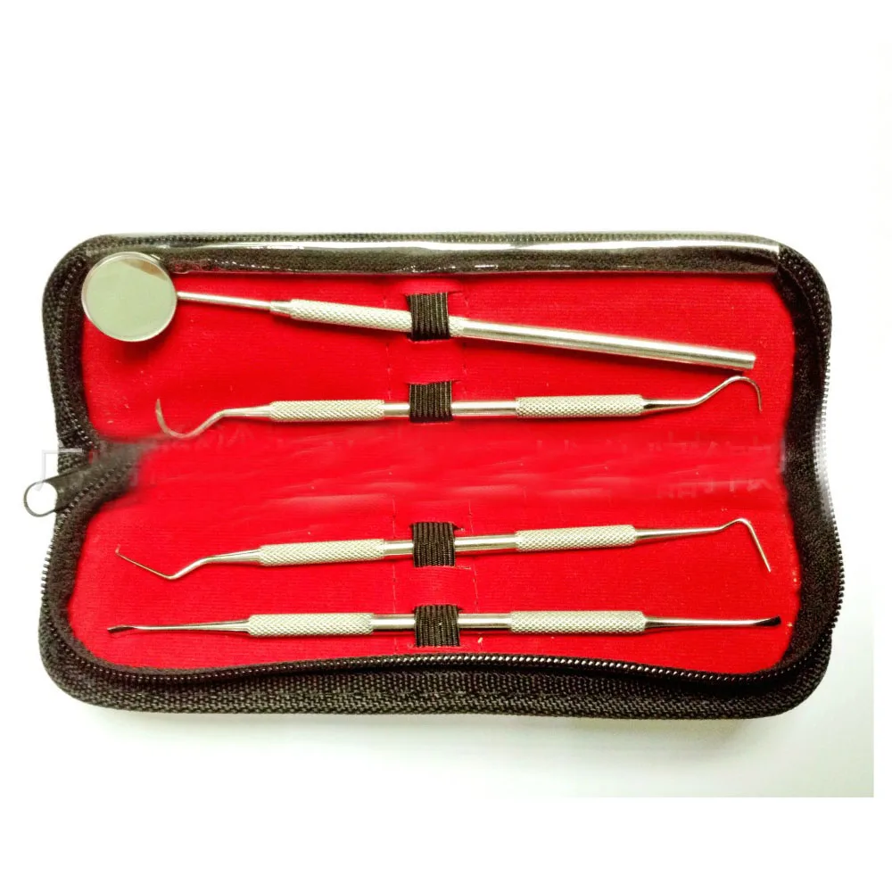 1 set Dental Instruments Hygiene Kit 4 Dentist Tools + 1 toolkit Teeth