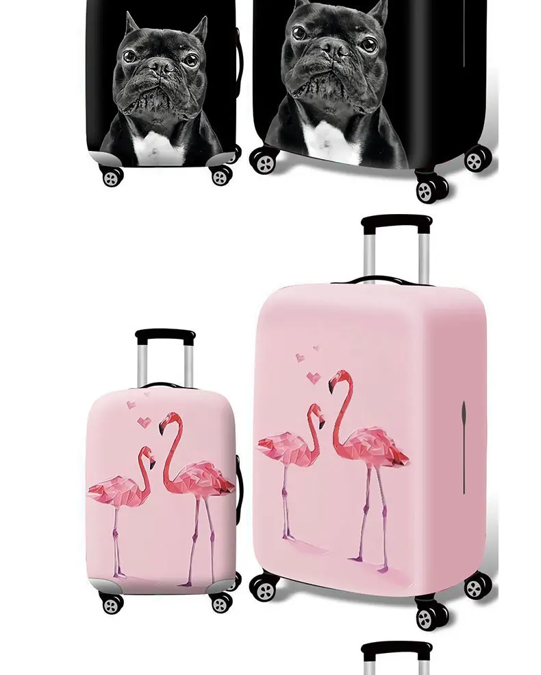 8722599669_178549433_04