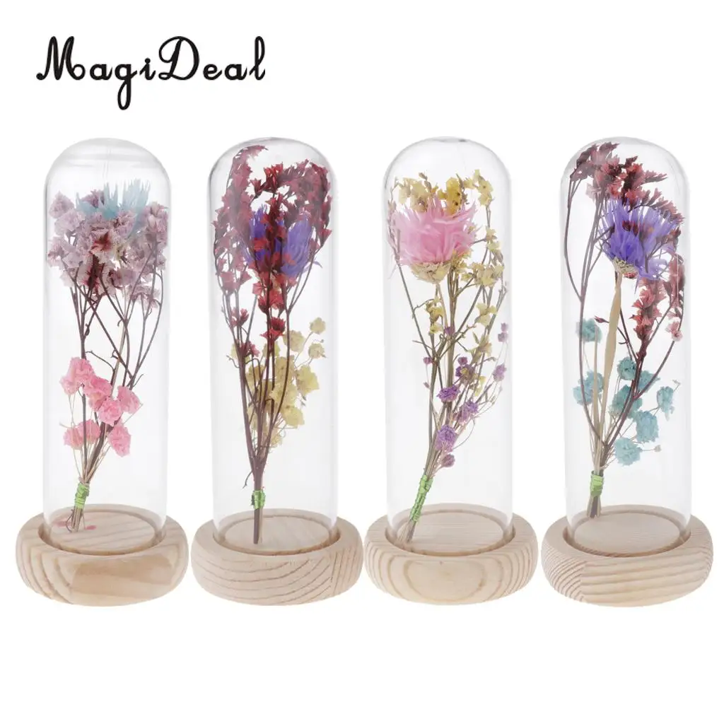 Clear Glass Display Cloche Bell Jar Dried Immortal Flower Preservation Vase Wooden Base Cafe Bar Countertop Decor Ornament