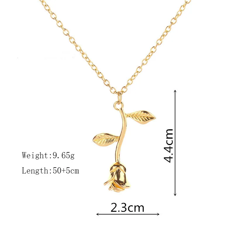 rose size