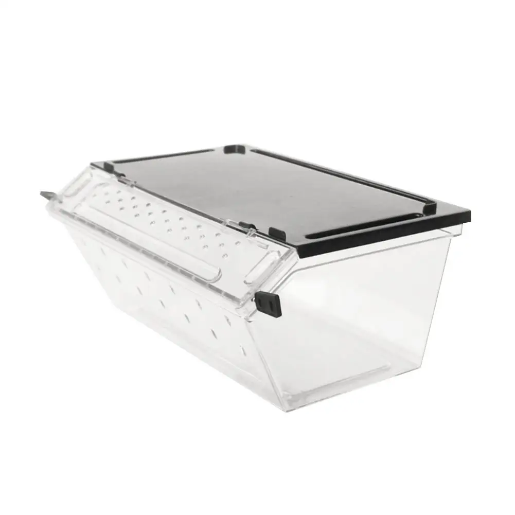

1pc Non-slip Reptile Terrarium Living Box Habitat for Snake Spider Lizard Scorpion Centipede Horned Frog Gecko Breeding Box