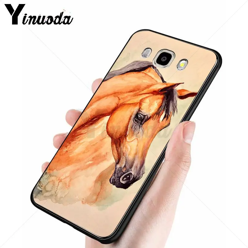 horse animal