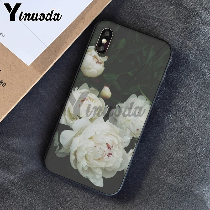 Sweet peony White flowers