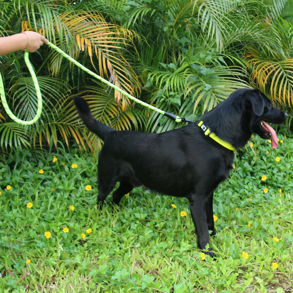 

Durable Nylon 1.5M Pet Dog Leash Collar Set Walking Training Led Leash Reflective Dogs Harness Collar Leashes Strap Belt Rope