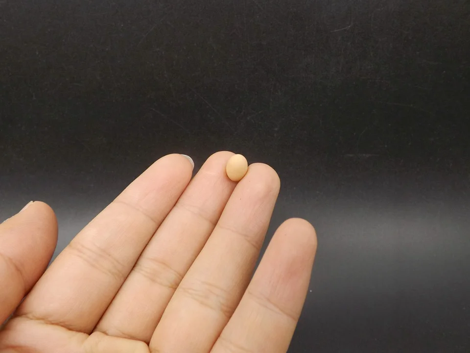 Tiny-A025Egg (2)