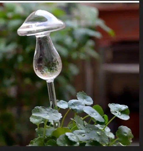 Стеклянные растения, цветы, кормушка для воды, самополивающаяся птица, дизайн, растение, водонагреватель, 6 видов для дома и сада - Цвет: mushroom