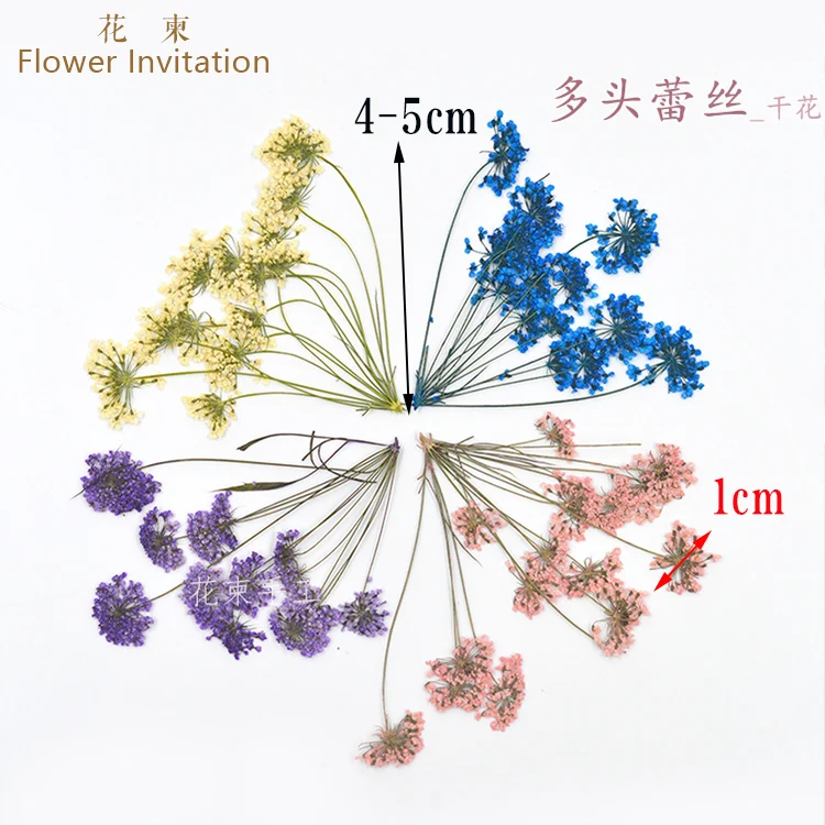 

Flower Invitation Multi-point Lace DIY Hand-embossed Dried Flowers Epoxy Plants Natural Specimens Real Flowers With Branches