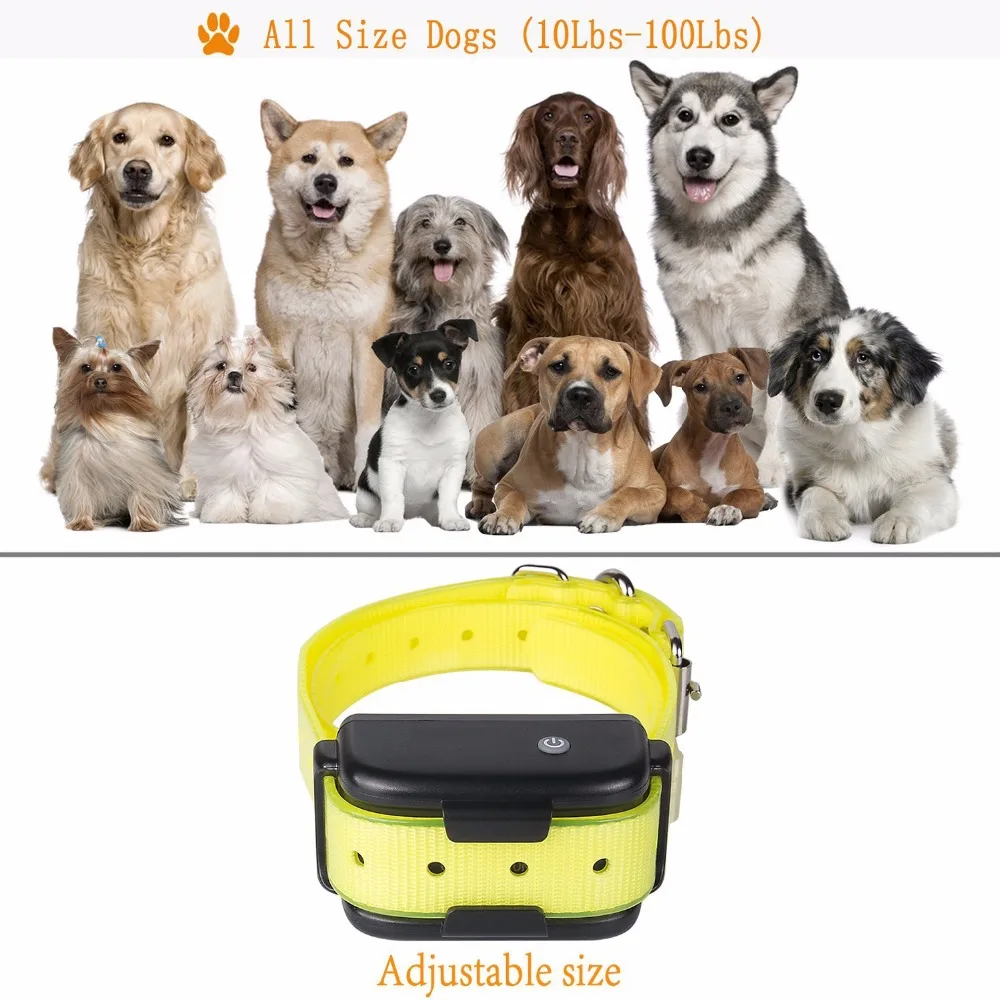shock collar for 10lb dog
