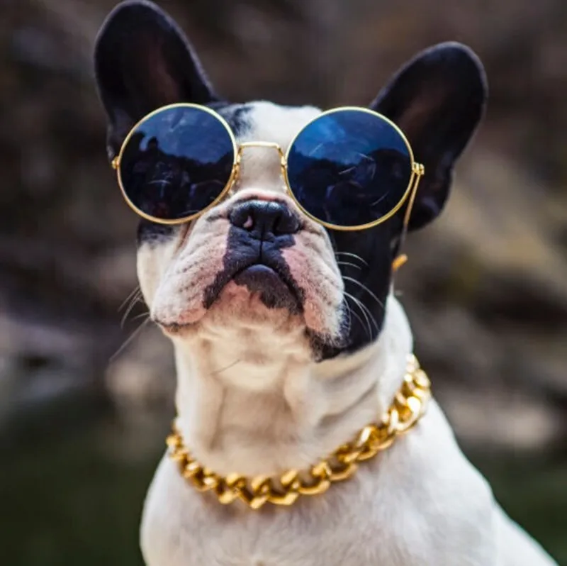 

Luxury Golden Chain CCB Thick Necklace Pet Accessories For Bulldog GP17121224