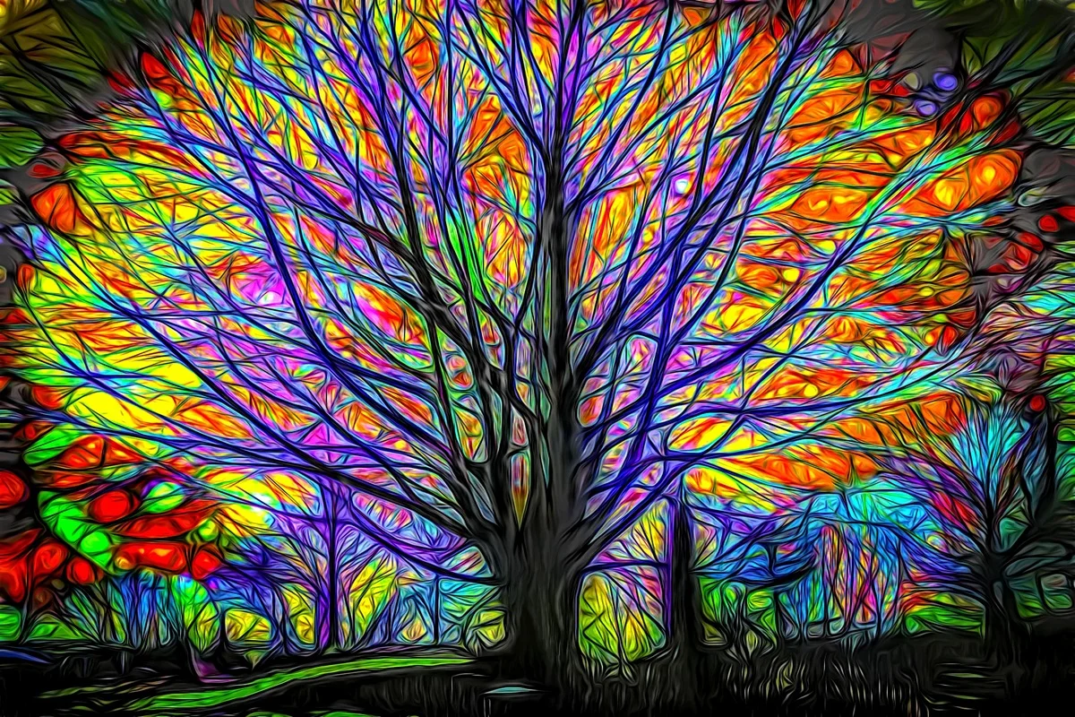 colored glow forest TMC552 custom print wall art fabric poster (frame available) for room decoration home decor | Дом и сад