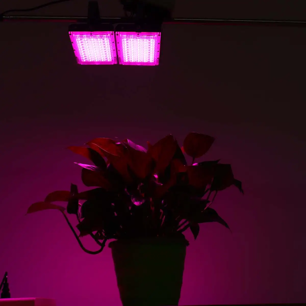 

100W 100 Led Grow Light Full Spectrum COB Grow LED Flood light AC220V for Plant Indoor Outdoor Hydroponic Greenhouse
