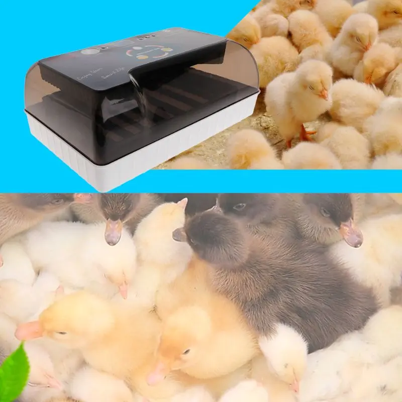 

110V US Plug Egg Incubator Hatcher Universal For Farm Chicken Goose Pigeon Quail Eggs Hatching Device Mini Professional LED Elec