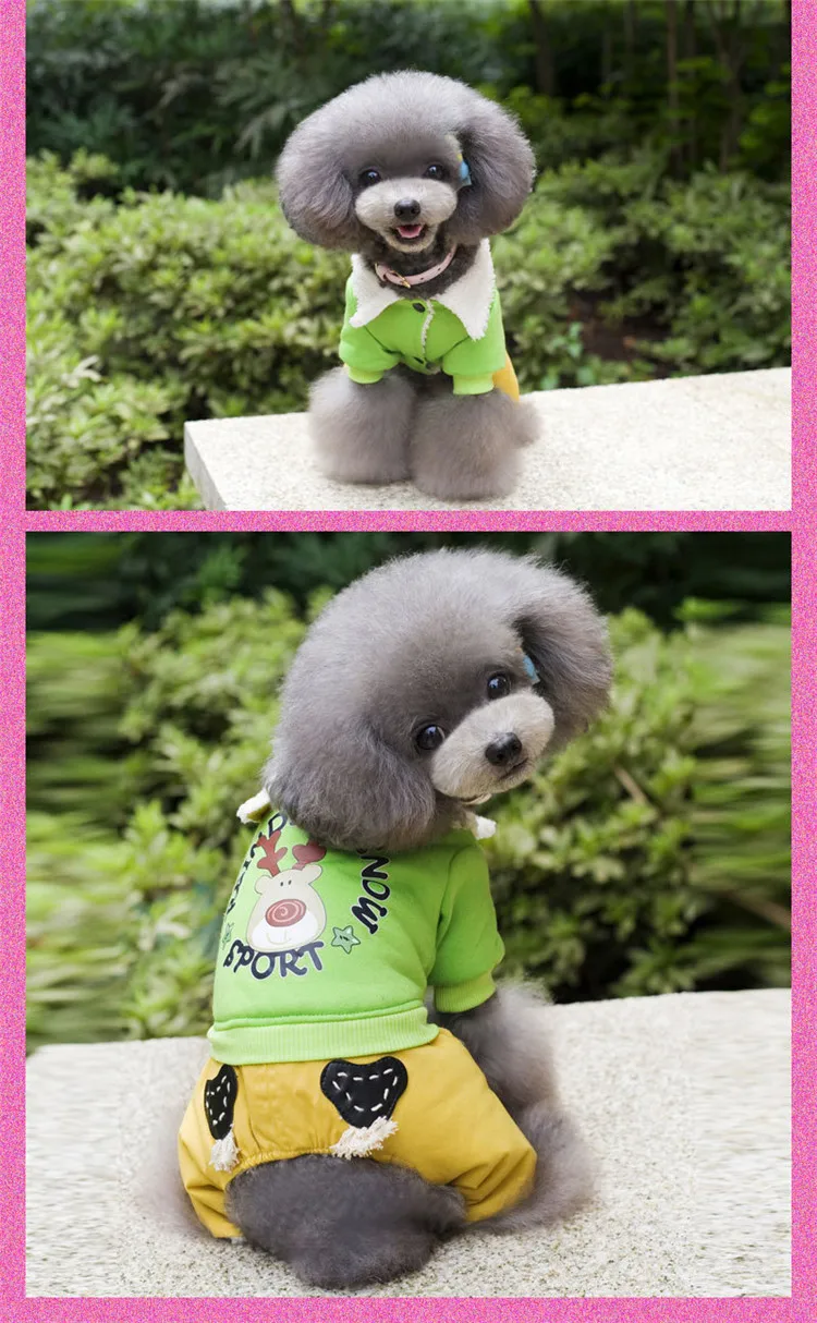  dog clothing 27
