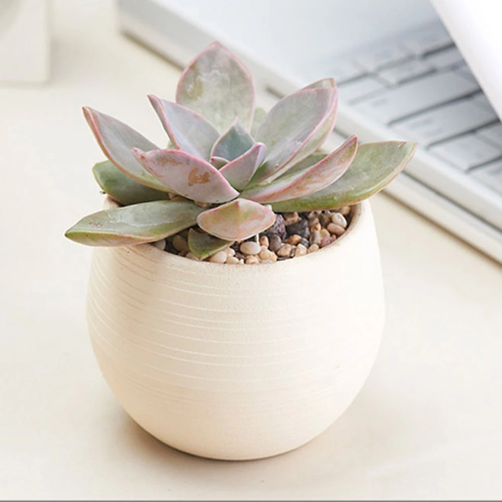 Pot De Fleurs Rond Mignon En Resine Pour Plantes Succulentes Petit Pot De Fleurs Pour La Maison Ou Le Jardin Jardiniere De Bureau Aliexpress