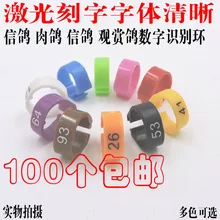 Г. Яркая голубь кольца с номерами 13000 шт./лот