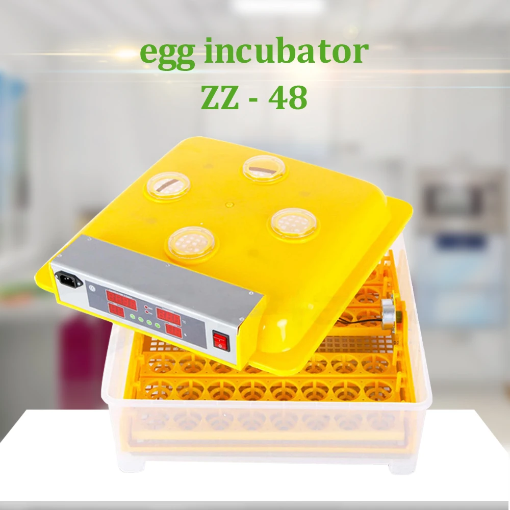 

Intelligent Mini Egg Hatchery Machine High Hatching Rate Egg Incubator For Hatching Duck Bird Chicken