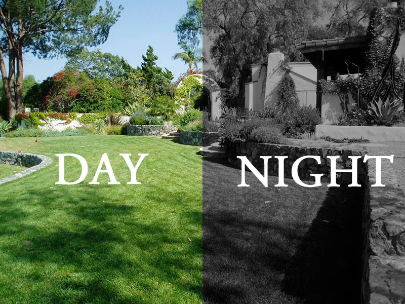 DAY NIGHT