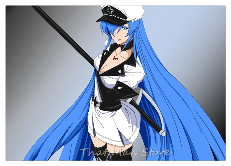 Akame ga KILL! Плакат с прозрачным изображением настенные наклейки украшение для дома