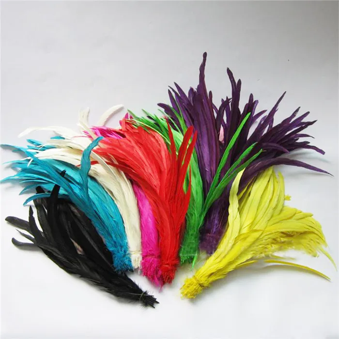 colors rooster tail feathers 7