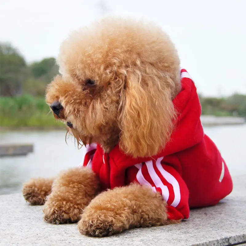 Clothes For dogs Sweater Jackets Fashion Tracksuit Wool Cotton Sports