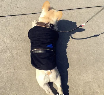 

Fashion pet dog puppy hoodie clothing clothes black hoodie yellow pink blue